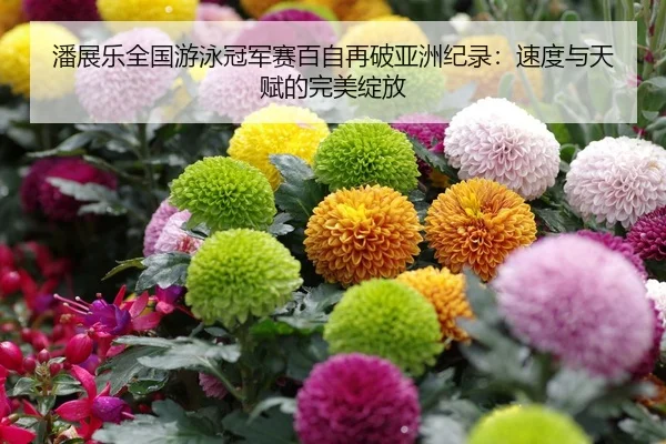 潘展乐全国游泳冠军赛百自再破亚洲纪录：速度与天赋的完美绽放